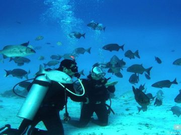 Tours más destacados en Sudamérica, Centroamérica, España & Portugal por su cultura y naturaleza