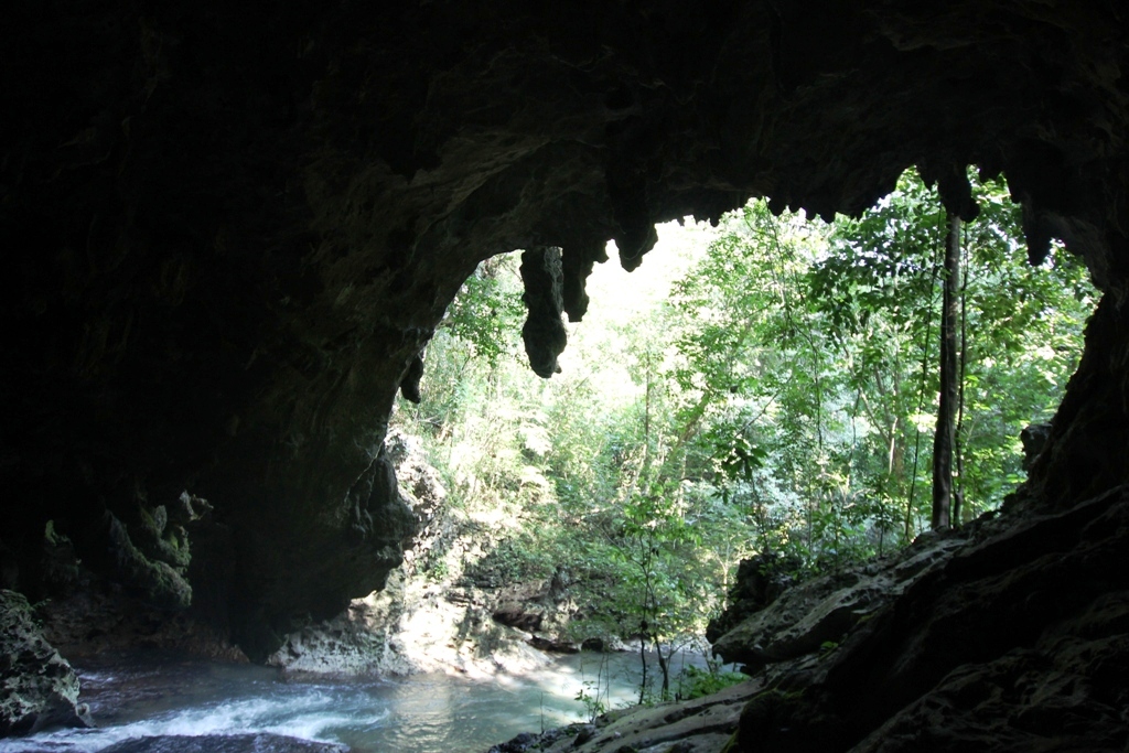 Día 13: Cuevas de Candelaria - Cobán
