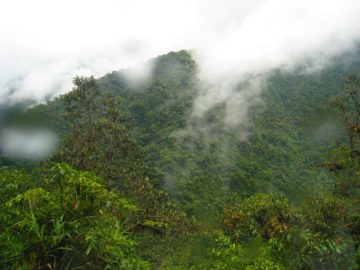 Tours más destacados en Sudamérica, Centroamérica, España & Portugal por su cultura y naturaleza