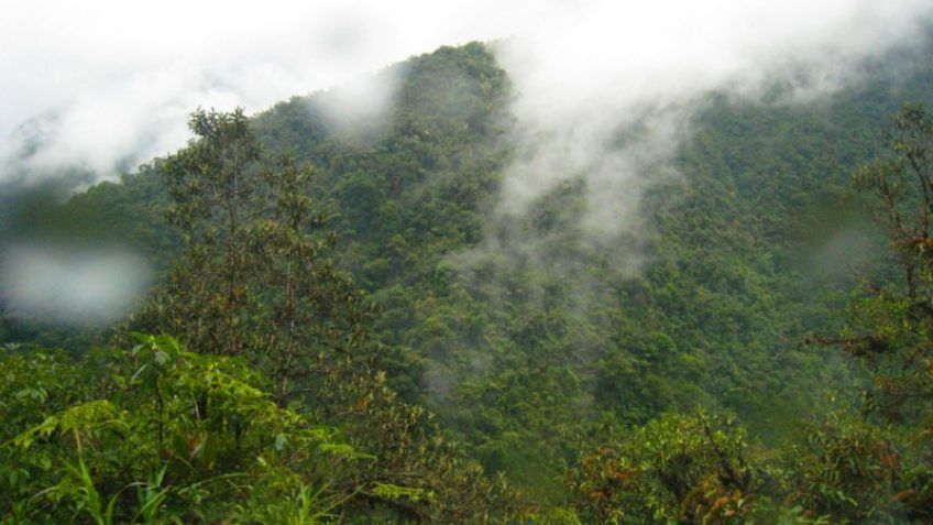 Tours más destacados en Sudamérica, Centroamérica, España & Portugal por su cultura y naturaleza