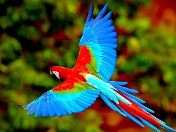 Tours más destacados en Sudamérica, Centroamérica, España & Portugal por su cultura y naturaleza
