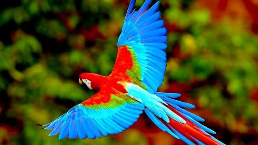 Tours más destacados en Sudamérica, Centroamérica, España & Portugal por su cultura y naturaleza